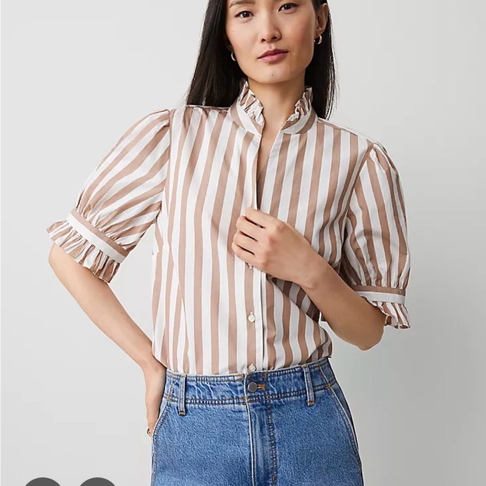 Ann Taylor Beige and White Striped Button Down Shirt
